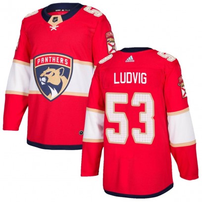 Men's Authentic Florida Panthers John Ludvig Adidas Home Jersey - Red